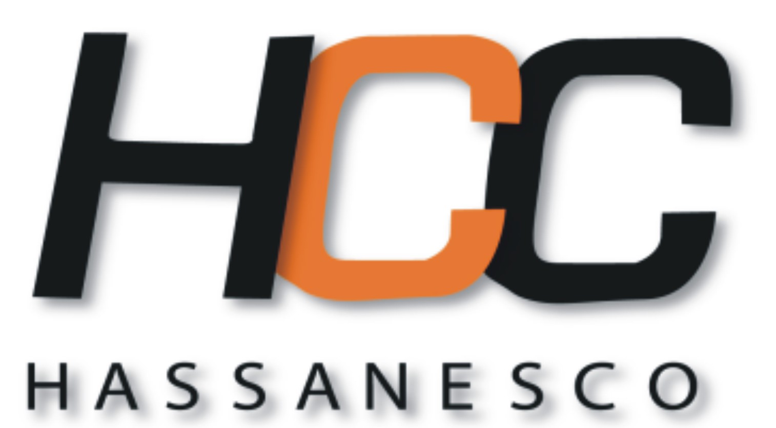 HASSANES CO TRADING & CONTRACTING QATAR